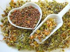 Thé de yoga mystérieux Quels sont les bienfaits du thé ayurvédique Yogi Tea : harmonie et guérison
